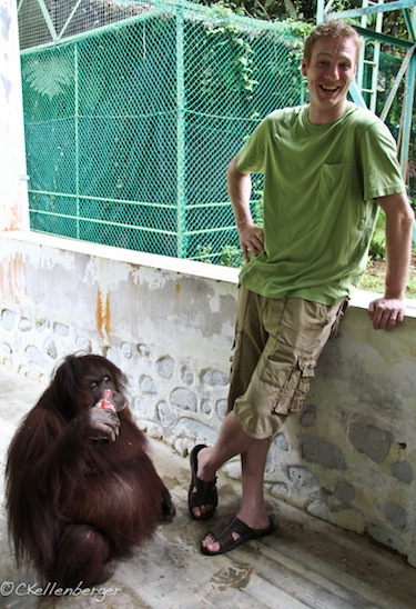 Jackie the Orangutan