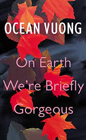 LGBT poetry debut novel - Ocean Vuong