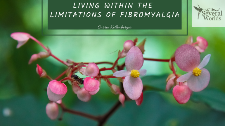 Life limitations with fibromyalgia and MECFS