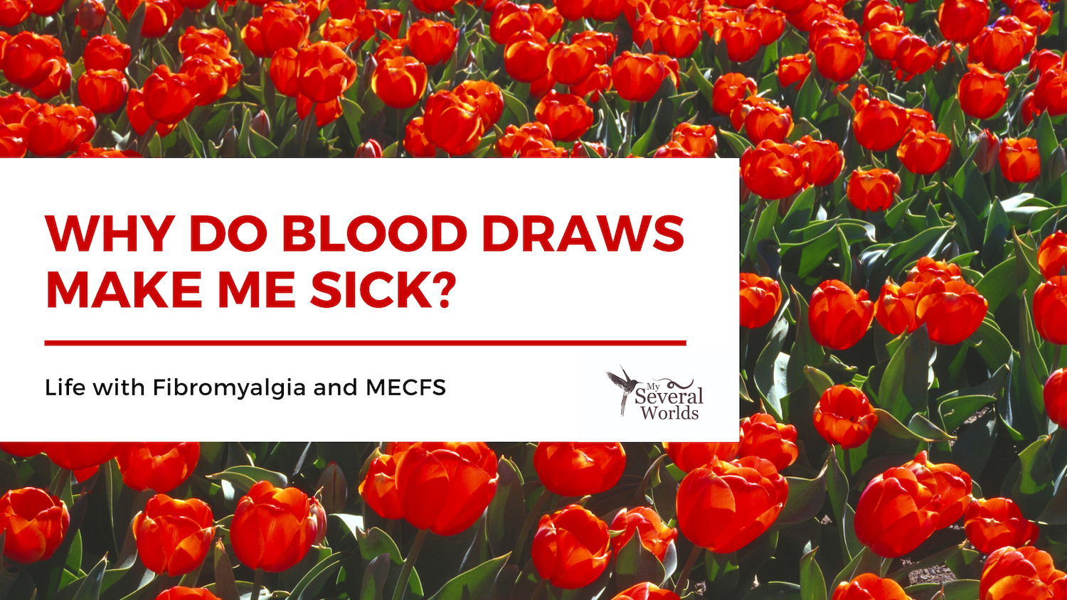 Life with Fibro and MECFS - Why do blood draws make me sick?